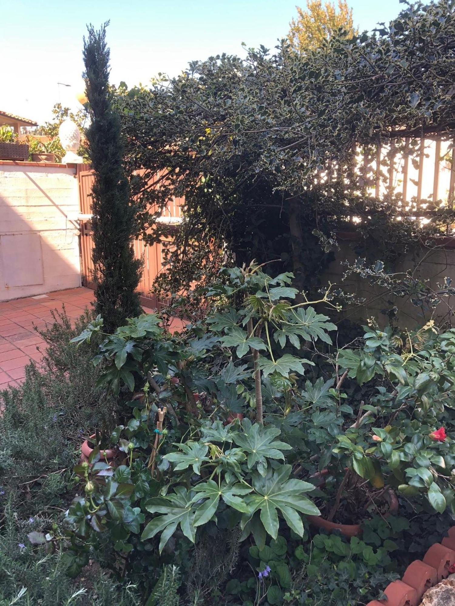 La Villa Bianca - Appartamento In Villa Sesto Fiorentino Esterno foto