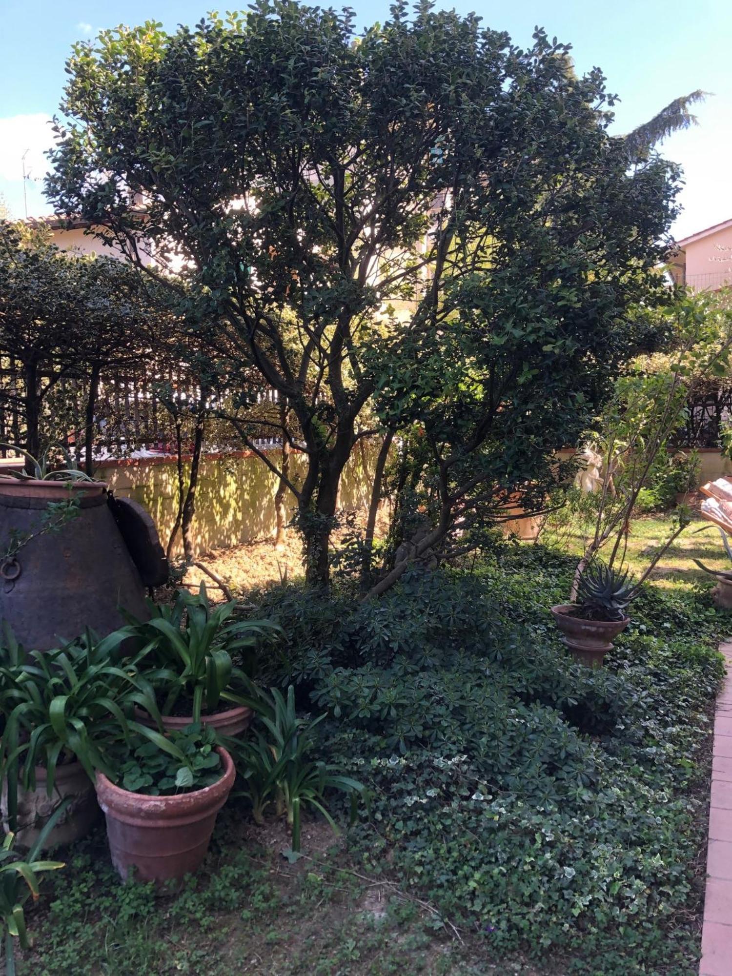 La Villa Bianca - Appartamento In Villa Sesto Fiorentino Esterno foto
